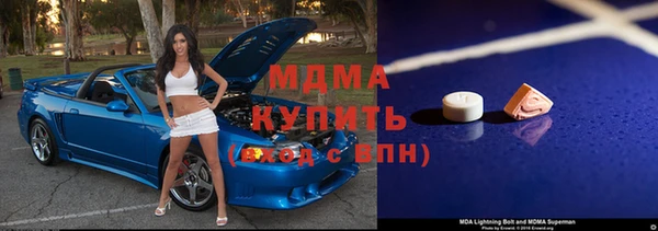 стаф Ельня