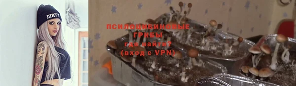 мдпв Новодвинск