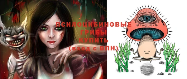 мдпв Новодвинск