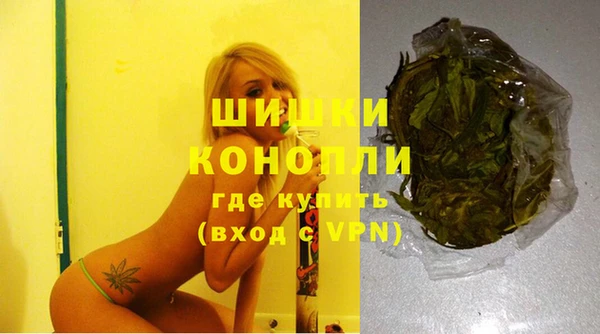 мдпв Новодвинск