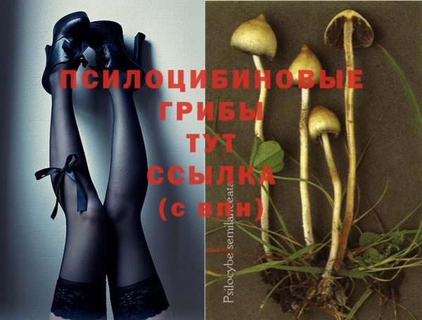 прущая мука Новокубанск
