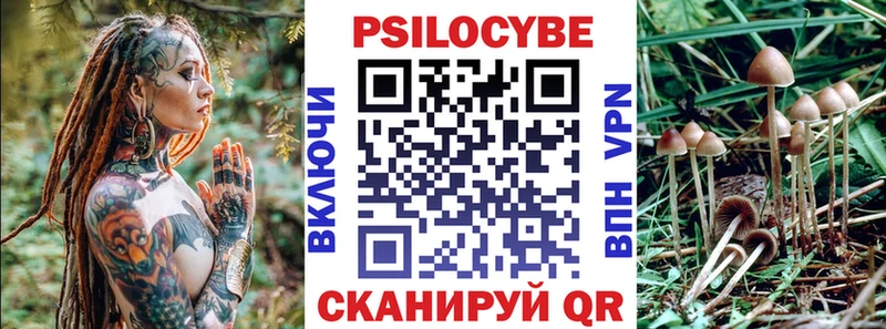 Псилоцибиновые грибы Psilocybe Алексеевка